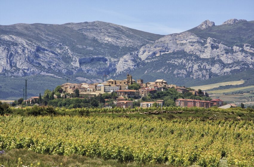  La Rioja Alavesa: El placer de viajar a través del vino