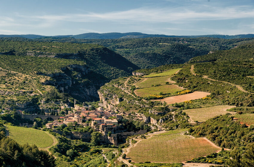  Languedoc-Rosellón tierra de historia y vinos